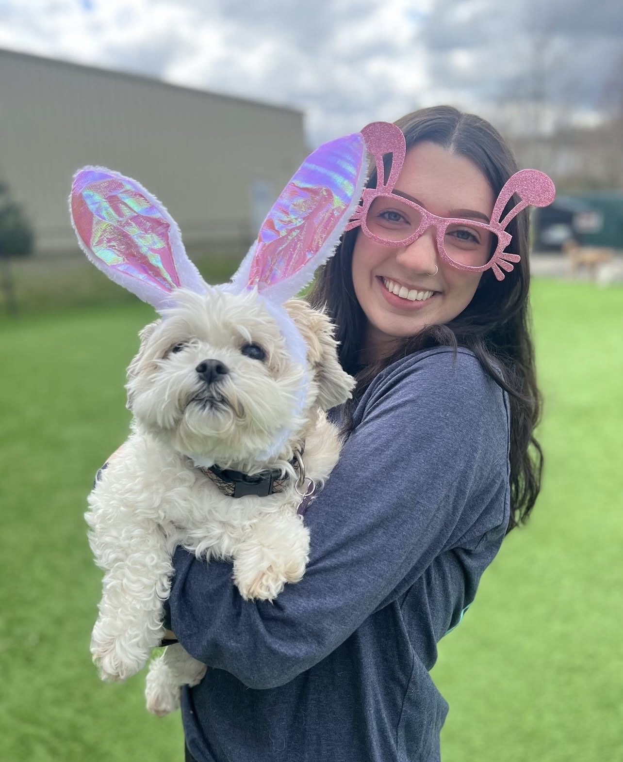 Pet Boarding in Franklin, MA